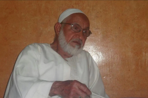 Egypt executes 17 prisoners including 80-year-old Quran teacher