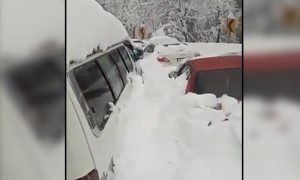 Murree declared calamity hit after at least 16 freeze to death in cars stranded in snow