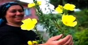 اذان کی آواز کیساتھ کھلنے والا پھول دریافت