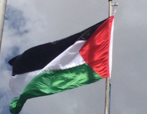 Palestinian flag raised at African UN headquarters