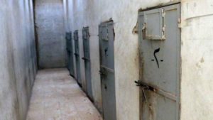 Nearly 18,000 died in Syria state jails in 2011-15, says Amnesty