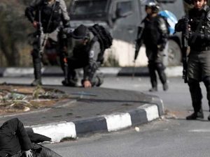 Two Gazans killed by Israeli gunfire