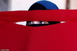 Danish Muslims Defy Niqab Ban