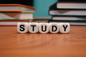 Role of Study in Life