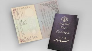 ذوالفقاری: بیش از ۸۰ هزار فرزند مادر ایرانی متقاضی تابعیت هستند