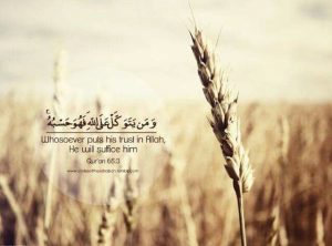 اللہ کی امان میں