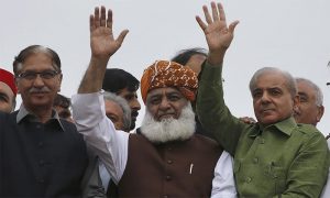 پیپلزپارٹی، مسلم لیگ(ن) کا جے یو آئی (ف) کے دھرنے میں شرکت نہ کرنے کا فیصلہ